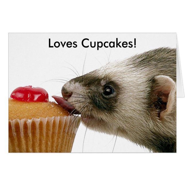 Ferrets Liebe Cupcakes (Vorderseite (Horizontal))