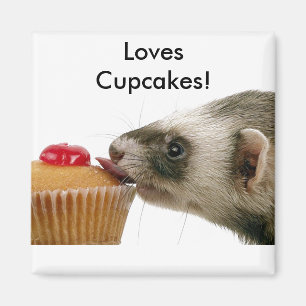 Ferrets Liebe Cupcakes Magnet