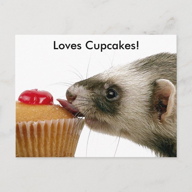 Ferrets Liebe Cupcakes Postkarte (Vorderseite)