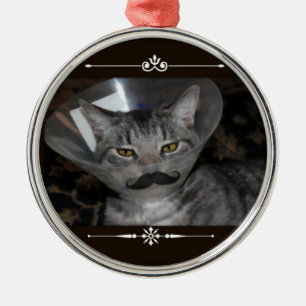 Ferris Mewler Schnurrbartverzierung Silbernes Ornament
