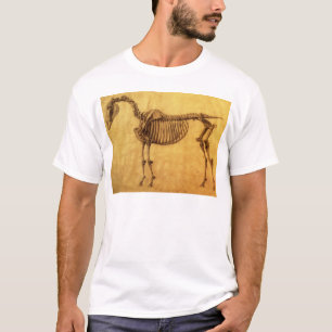 Fertige Studie Georges Stubbs für das erste T-Shirt