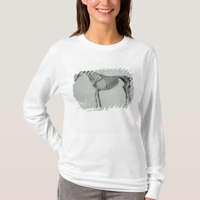 Fertige Studie Georges Stubbs | für das fünfte T-Shirt (Vorderseite)