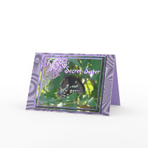 Fertigen geheime Schwester Toilette-Bfly besonders