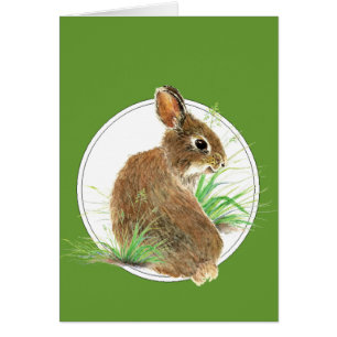 Fertigen Sie dieses neugierige Kaninchen,