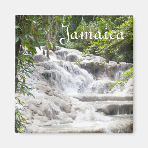 Fertigen Sie Dunns Fluss-Fall-Foto besonders an Magnet