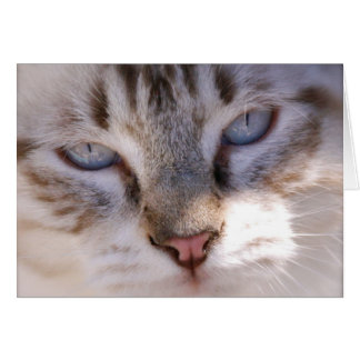 Fertigen Sie Ihre eigene Haustier-Karte besonders