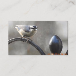 Fertigen Sie Ihre eigenen Visitenkarten Visitenkarte