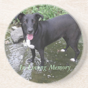 fertigen Sie personalisierten Sandstein Untersetzer