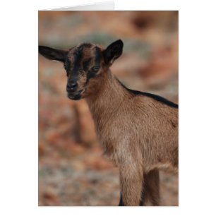 Fertigen Sie Produkt besonders an