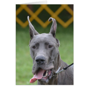 Fertigen Sie Produkt besonders an