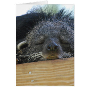 Fertigen Sie Produkt besonders an