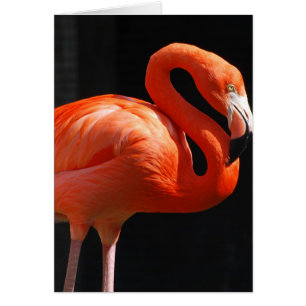 Fertigen Sie Produkt besonders an