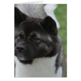 Fertigen Sie Produkt besonders an