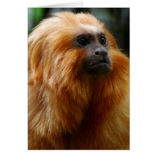 Fertigen Sie Produkt besonders an