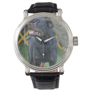 Fertigen Sie Produkt besonders an Armbanduhr