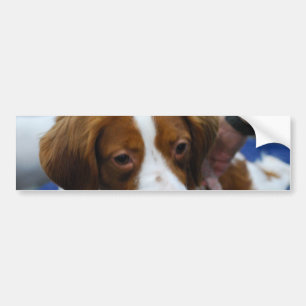 Fertigen Sie Produkt besonders an Autoaufkleber