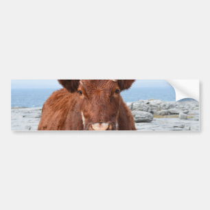 Fertigen Sie Produkt besonders an Autoaufkleber