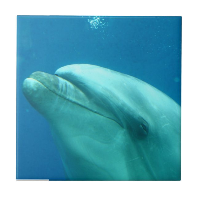 Fertigen Sie Produkt besonders an Fliese (Vorderseite)