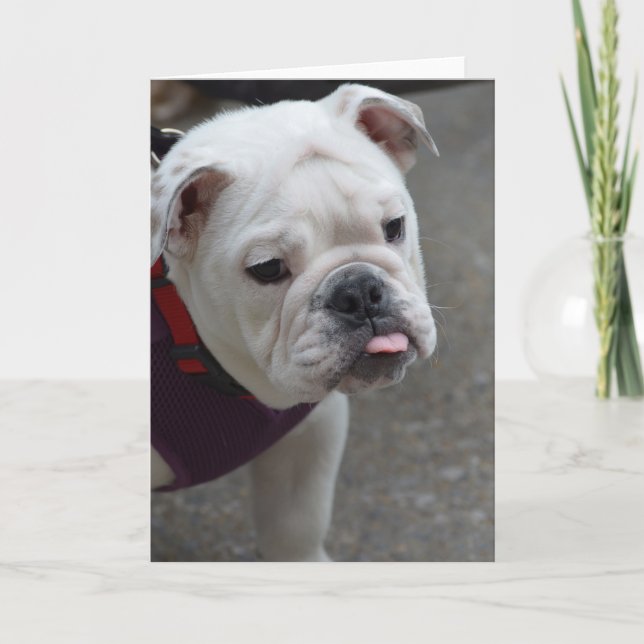 Fertigen Sie Produkt besonders an Karte (Vorderseite)