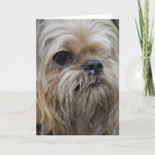 Fertigen Sie Produkt besonders an Karte (Vorderseite)