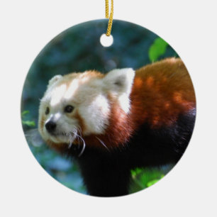 Fertigen Sie Produkt besonders an Keramik Ornament