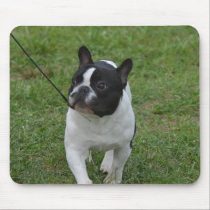 Fertigen Sie Produkt besonders an Mousepad