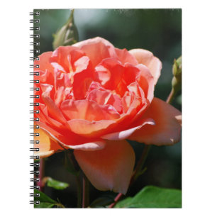 Fertigen Sie Produkt besonders an Notizblock