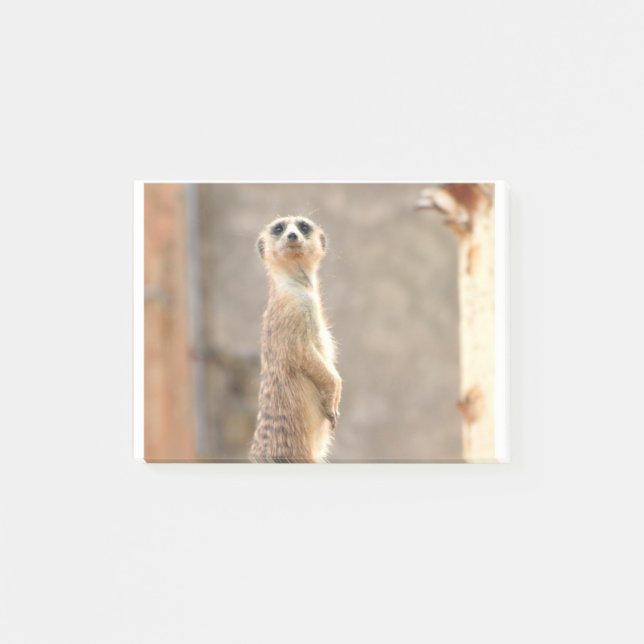 Fertigen Sie Produkt besonders an Post-it Klebezettel (Vorderseite)