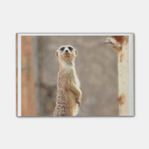 Fertigen Sie Produkt besonders an Post-it Klebezettel