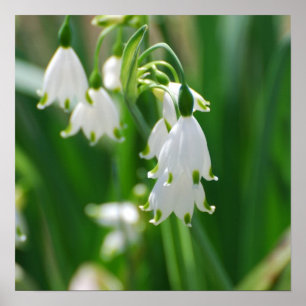 Fertigen Sie Produkt besonders an Poster