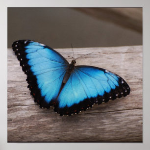 Fertigen Sie Produkt besonders an Poster