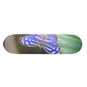 Fertigen Sie Produkt besonders an Skateboard