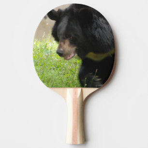 Fertigen Sie Produkt besonders an Tischtennis Schläger