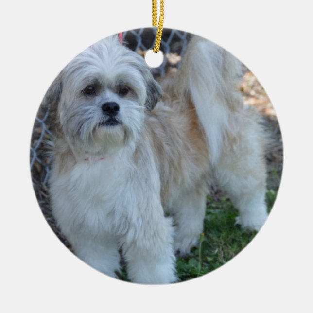 fertigen Sie w/special Foto Keramikornament (Vorne)