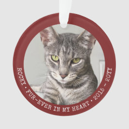 Fertiger Pet Memory Hund Katze Foto Personalisiert Ornament