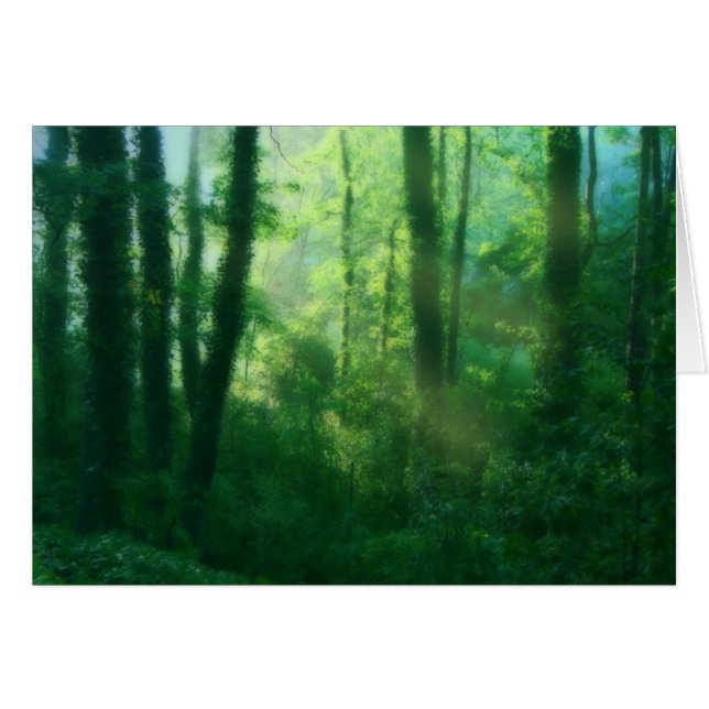 Fertilitätskarte (Vorderseite (Horizontal))