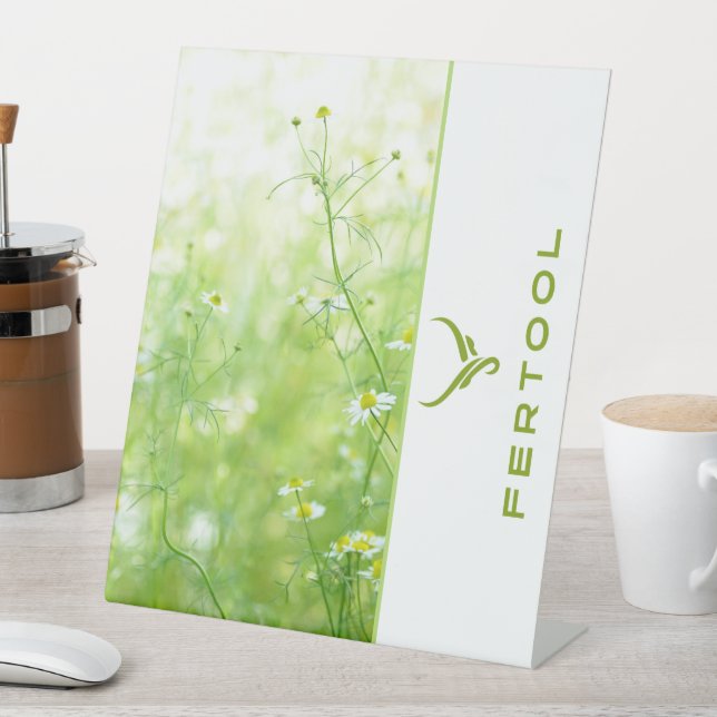 FERTOOL SOCKELSCHILD (In Situ)