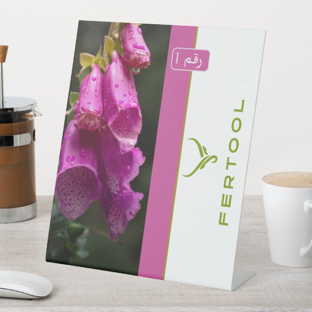 FERTOOL SOCKELSCHILD (In Situ)