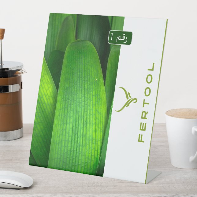 FERTOOL SOCKELSCHILD (In Situ)