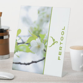 FERTOOL SOCKELSCHILD