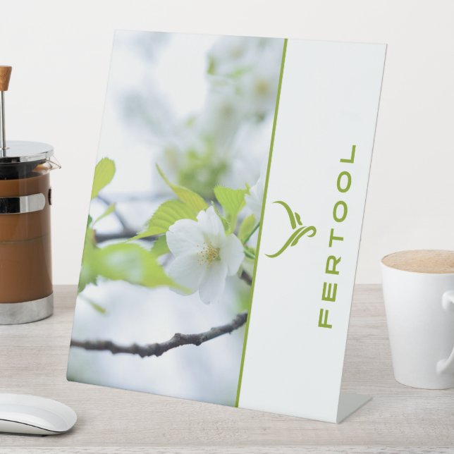 FERTOOL SOCKELSCHILD (In Situ)