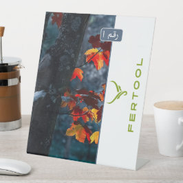 FERTOOL SOCKELSCHILD