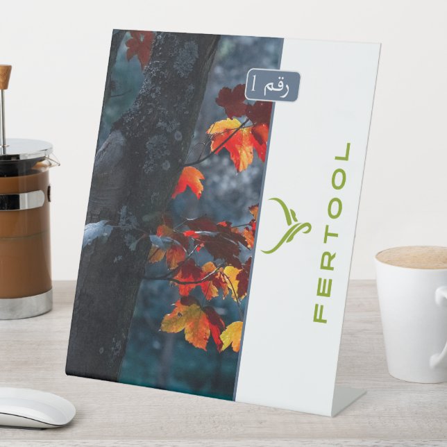 FERTOOL SOCKELSCHILD (In Situ)