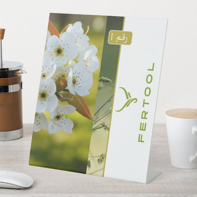 FERTOOL SOCKELSCHILD (In Situ)