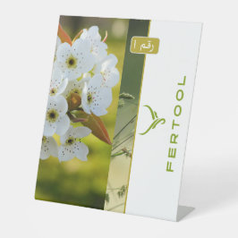 FERTOOL SOCKELSCHILD