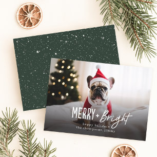 Fest Merry Bright Moderner Hund Foto Weihnachten