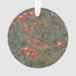 Fest Rotes Sparkling Berries Naturerlebnis Foto Ornament