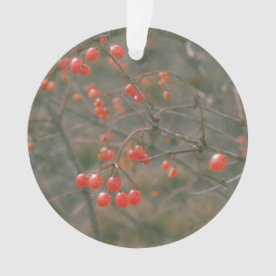 Fest Rotes Sparkling Berries Naturerlebnis Foto Ornament