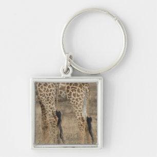Feste Ernte von zwei Giraffen (Giraffa Schlüsselanhänger