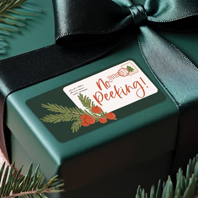 Fester Lieferversand-Umschlag nach und von (Festive Delivery Postage Envelope To & From Label)